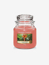 Yankee Candle The Last Paradise (411 g) Itthon