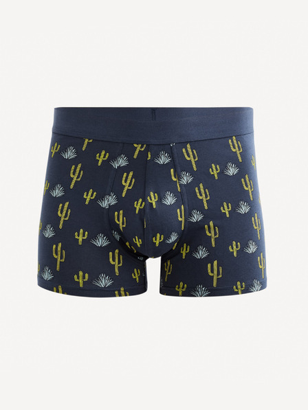 Celio Gibocactus Boxeralsó