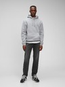 GAP Jeans Straight GapFlex GAP