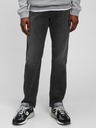 GAP Jeans Straight GapFlex GAP