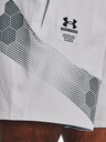 Under Armour Férfi rövidnadrágok Under Armour UA Storm Armourprint Woven Storm Sh
