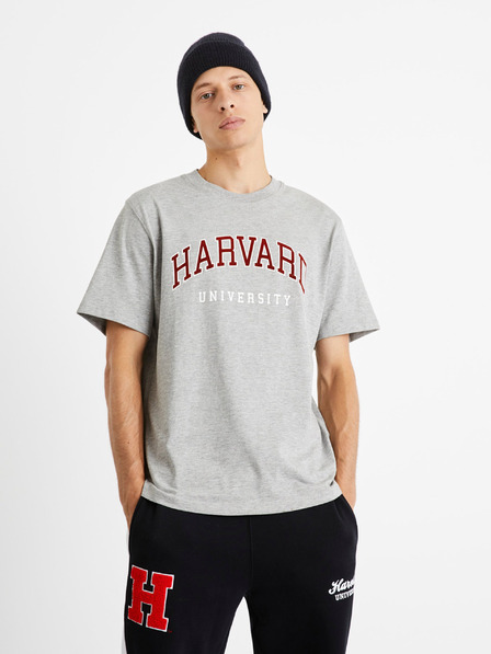 Celio Harvard University Póló