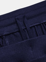 Under Armour Férfi sportnadrág Under Armour UA UNSTOPPABLE CARGO PANTS
