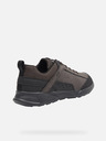 Geox Barna Férfi tornacipő Geox Sanzio