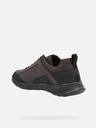 Geox Barna Férfi tornacipő Geox Sanzio
