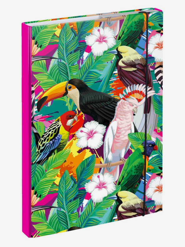 BAAGL  Zöld Mappák iskolai füzetekhez A4 Tukan Baagl