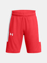 Under Armour Fiú rövidnadrágok Under Armour UA Baseline Short