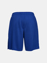 Under Armour Férfi rövidnadrágok Under Armour Tech Mesh Short