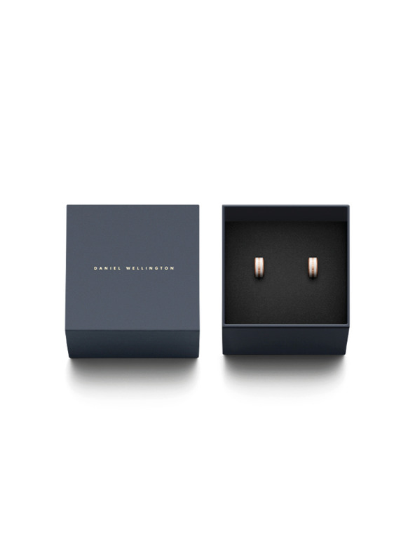 Daniel Wellington Daniel Wellington acél fülbevaló DW00400148