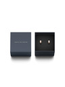 Daniel Wellington Daniel Wellington acél fülbevaló DW00400148