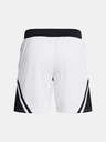 Under Armour Férfi rövidnadrágok Under Armour Curry Mesh Short 4