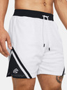 Under Armour Férfi rövidnadrágok Under Armour Curry Mesh Short 4