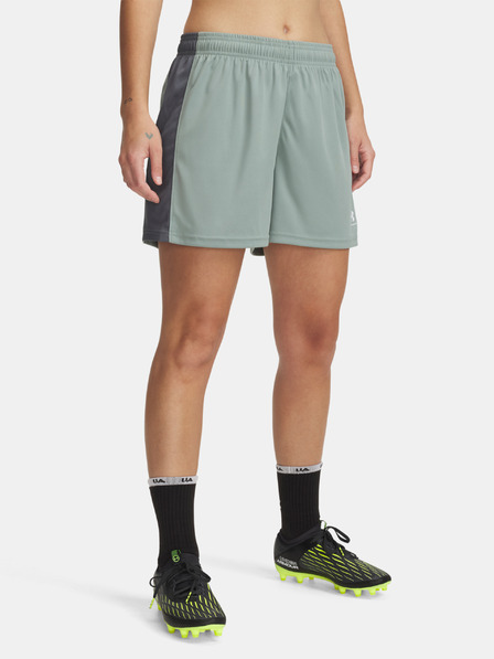 Under Armour Női rövidnadrágok Under Armour UA W's Ch. Knit Short