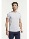 Tenson Men's t-shirt TENSON light gray