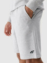 4F Férfi 4F rövidnadrág