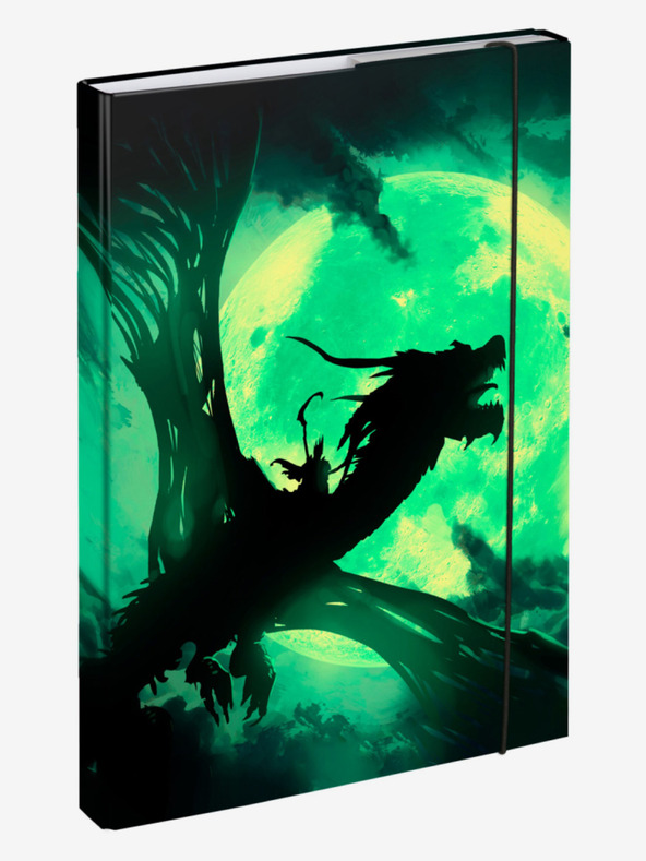 BAAGL  Zöld mappák iskolai füzetekhez A4 Dragon Baagl