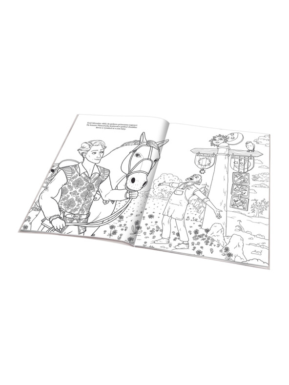 BAAGL  THE MISS PRINCESS - Színezőkönyv a filmmesék alapján