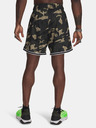 Under Armour Férfi rövidnadrágok Under Armour Pjt Rck Mesh Short