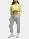 Under Armour Női felső Under Armour UA Icon Terry Crop Hoodie