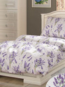 Kvalitex Hosszított pamut ágynemű PROVENCE COLLECTION 140x220, 70x90cm LEVANDULE lila Kvalitex