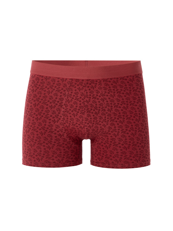 Celio Miboflori boxer