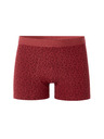 Celio Miboflori boxer