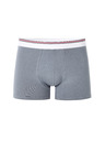 Celio Mike boxer