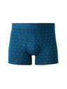 Celio Libopolka boxer