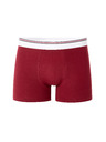 Celio Mike boxer