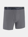 Under Armour Férfi boxeralsó Under Armour M UA Perf Tech 6in 1pk