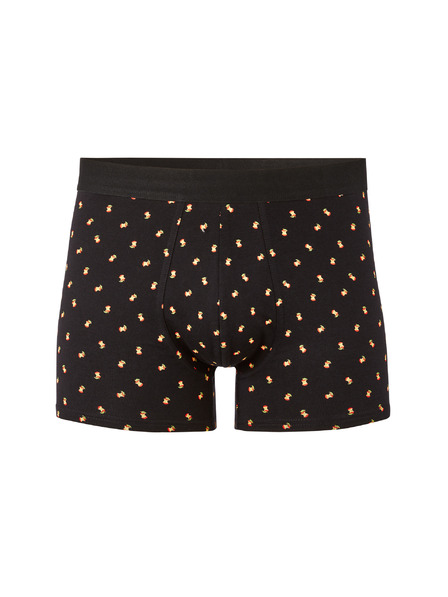 Celio Liboapple boxer