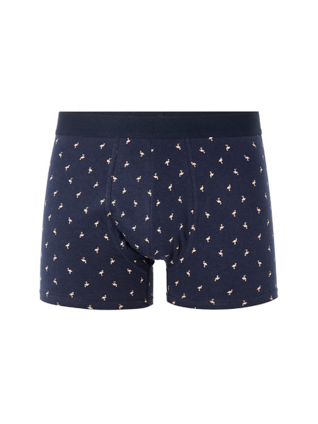 Celio Liboflam boxer