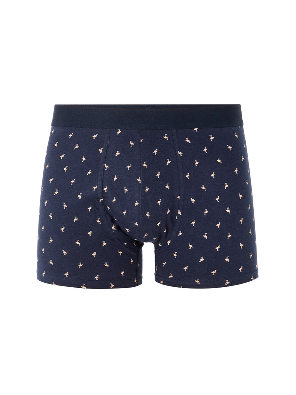 Celio Liboflam boxer
