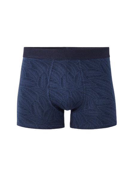 Celio Liboleaf boxer