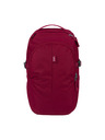 BAAGL  BAAGL Hátizsák Dash Bordó GRS
