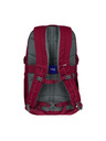 BAAGL  BAAGL Hátizsák Dash Bordó GRS