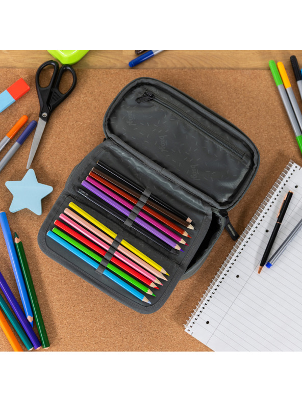 BAAGL  BAAGL Iskolai tolltartó etui Skate Grove