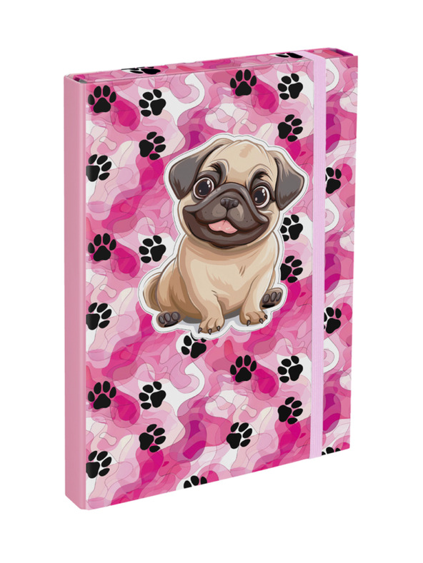 BAAGL  BAAGL A4 Iskolai füzetmappa Mancsok