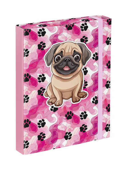 BAAGL  BAAGL A5 Iskolai füzetmappa Mancsok