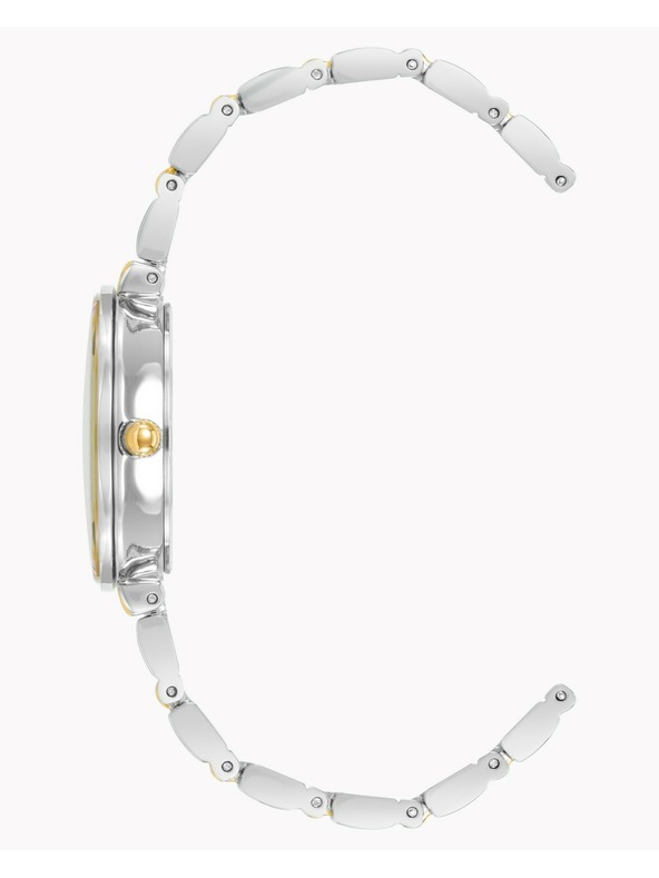 Anne Klein Női óra Anne Klein AK/2435SVTT