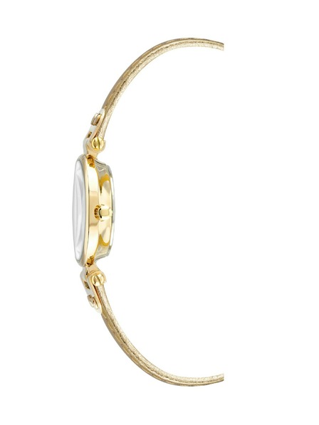 Anne Klein Női óra Anne Klein 10/9442CHGD