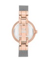 Anne Klein Anne Klein AK/3001SVRT női óra