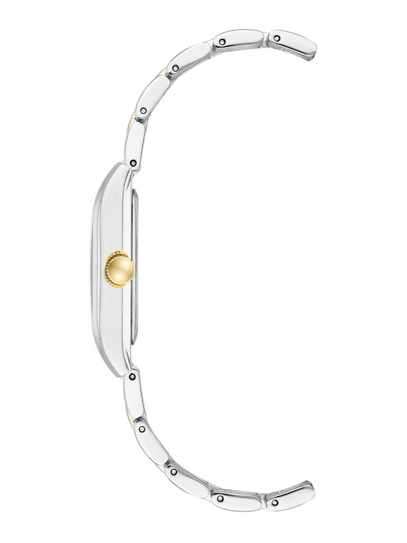 Anne Klein Anne Klein AK/3955SVTT női óra