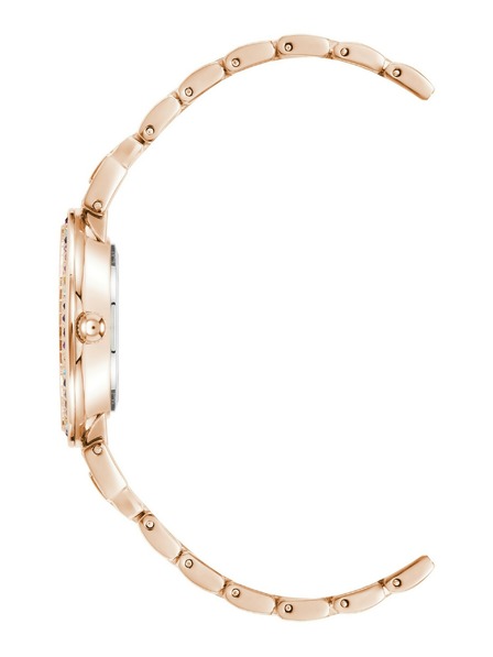 Anne Klein Anne Klein AK/2928RBRG női óra