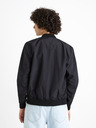 Celio Fekete férfi bomber Celio Cubluz