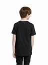 Meatfly Meatfly gyerek póló Artee Black