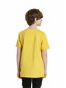 Meatfly Meatfly gyerek póló Bart Vanilla | Sárga