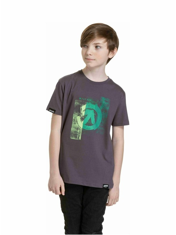 Meatfly Meatfly gyerek póló Artee Misztikus szürke