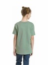 Meatfly Meatfly gyerek póló Dino Olíva | Zöld