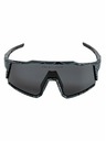 Meatfly Meatfly polarizált napszemüveg Nate Morph Black